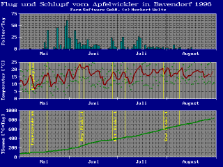 Flug des Apfelwicklers